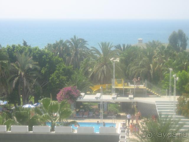 Вид с номера