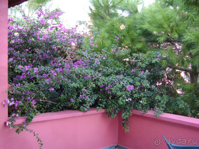 фото Senza Garden Holiday Club