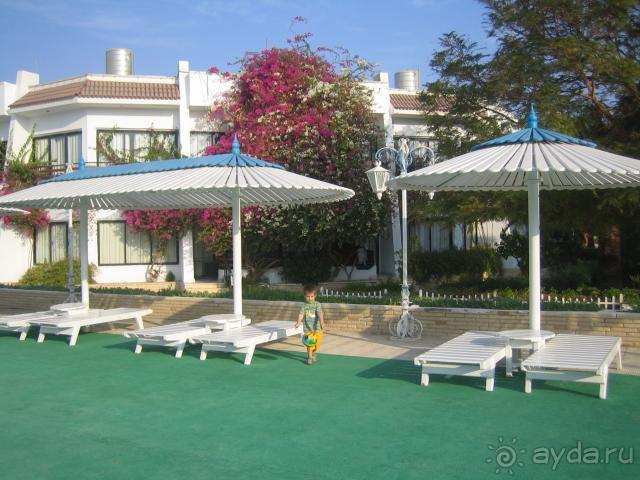 у центрального бассейна