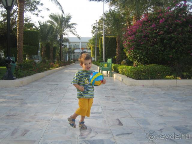 наш шустрик