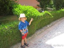 мой птенчик