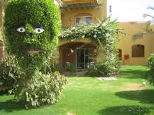 какой-то чудик))