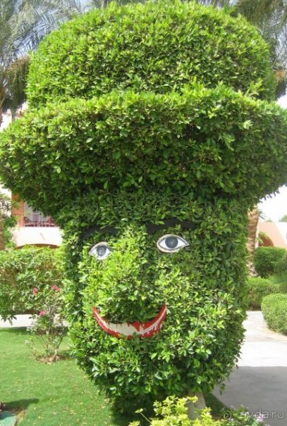 шедевр садовника