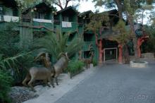 фото Holiday Area Eco Dream Club Green Resort (закрыт)