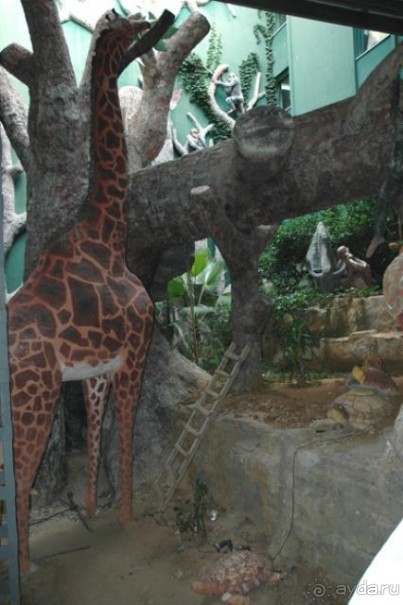 Внутреннтй двор отеля: Forest people world