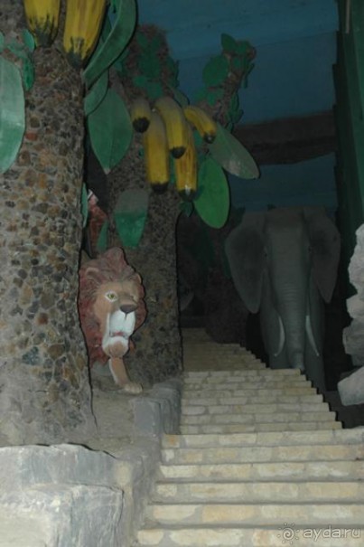 Внутренний двор отеля: Forest people world