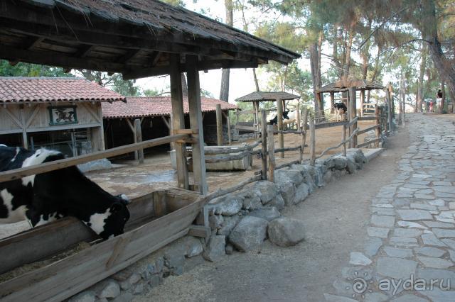 фото Holiday Area Eco Dream Club Farm Resort (закрыт)