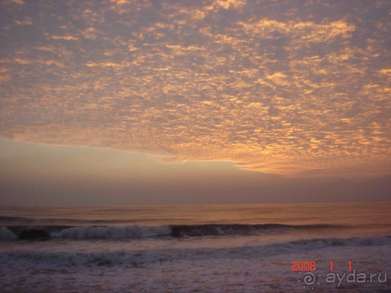 фото Кардам