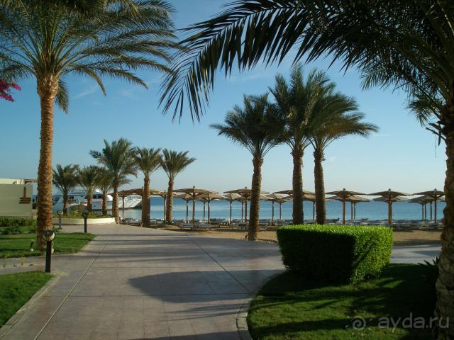 фото Palm Beach Resort