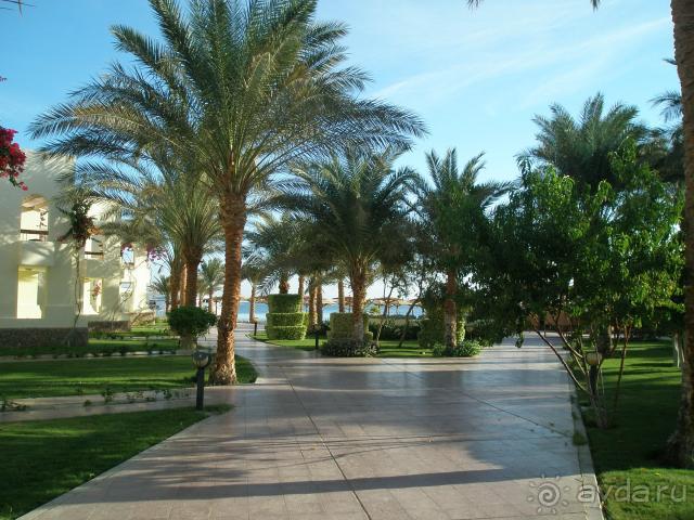 фото Palm Beach Resort