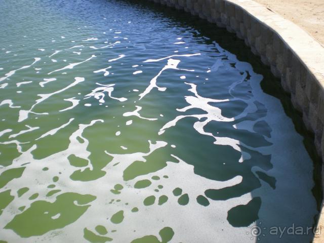 Хотите возненавидеть Египет-поедьте в Domina