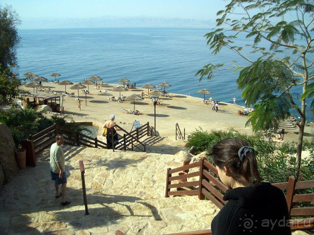 Jordan Valley Marriott Resort & Spa