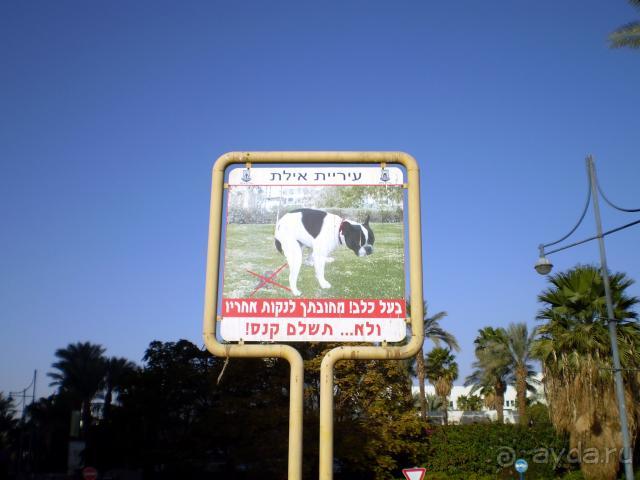 фото Isrotel King Solomons Palace