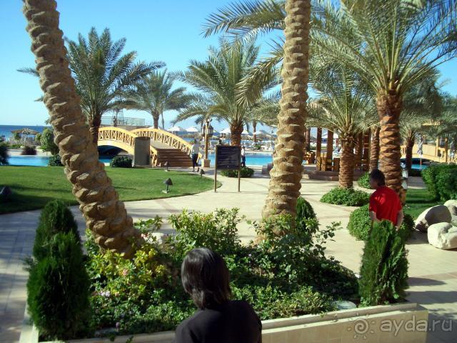 Intercontinental Aqaba