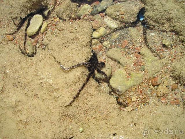 Незабываемое море и хороший тихий отель