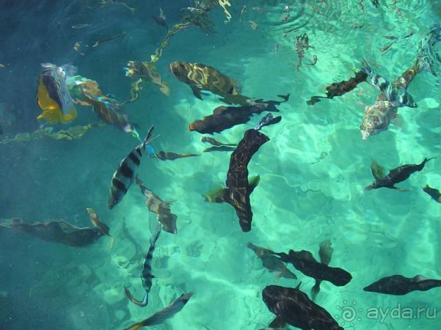 Незабываемое море и хороший тихий отель