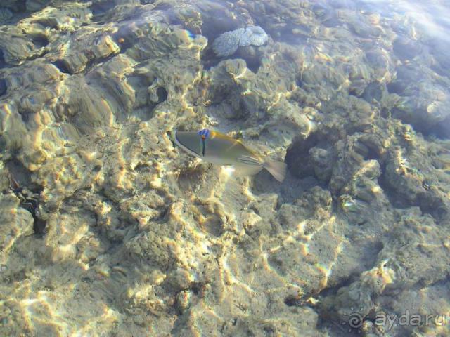 Незабываемое море и хороший тихий отель