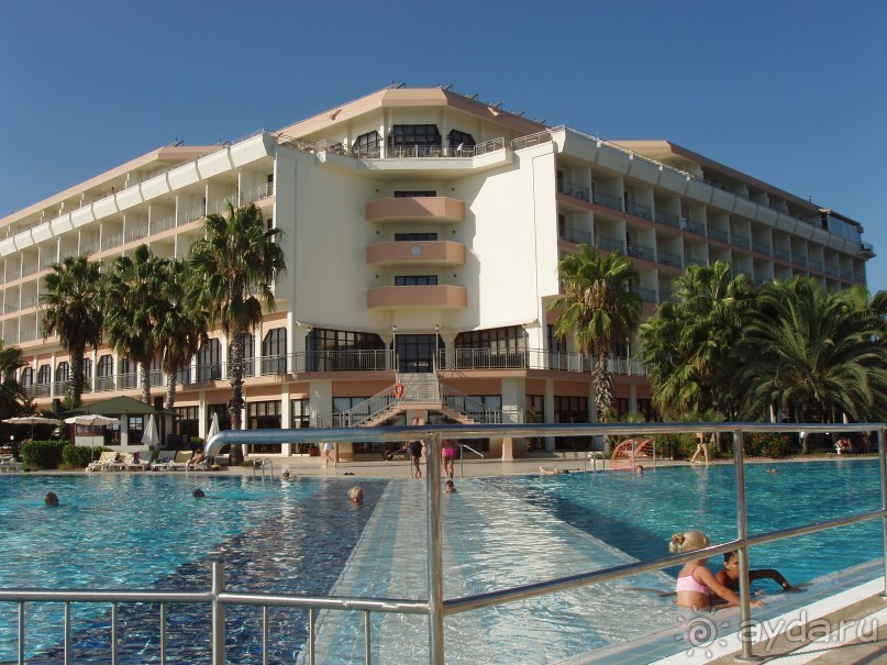 фото Орхидея