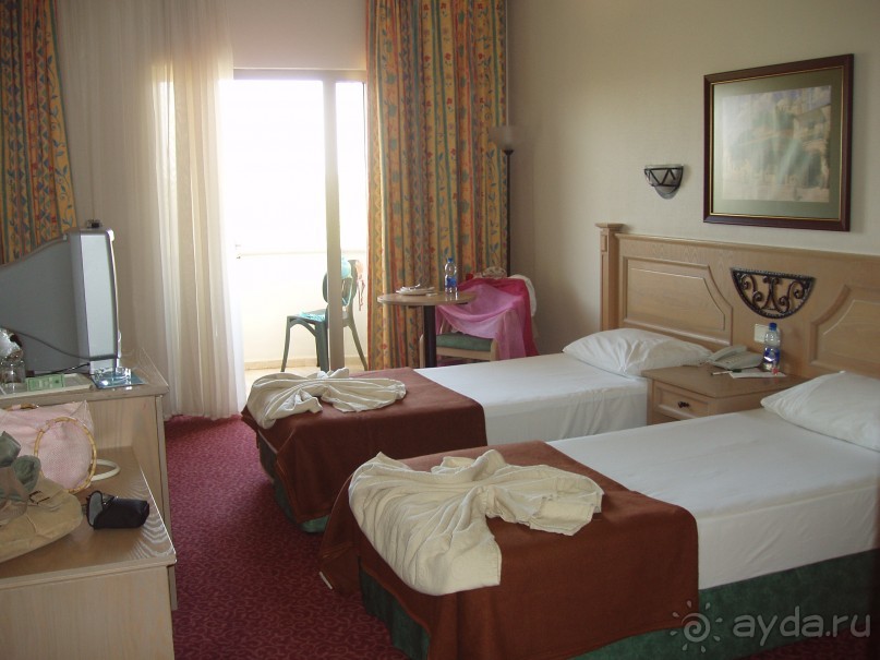 фото Орхидея