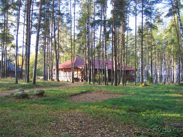 фото Мышкино подворье