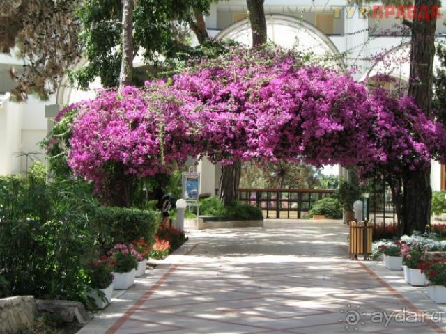 фото Turquoise Hotel Side