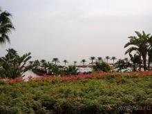 Почти отлично не для капризных