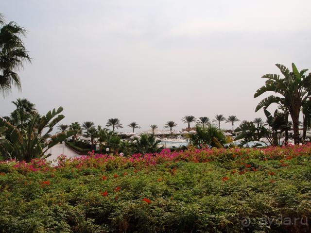 Почти отлично не для капризных