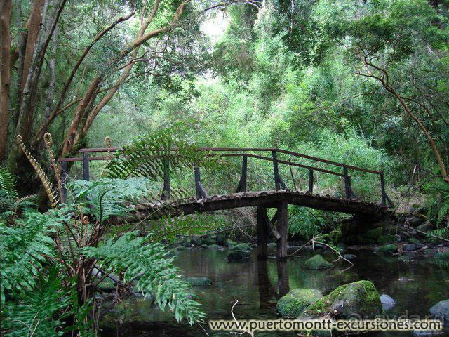 Национальный парк Висенте Перес Росалес