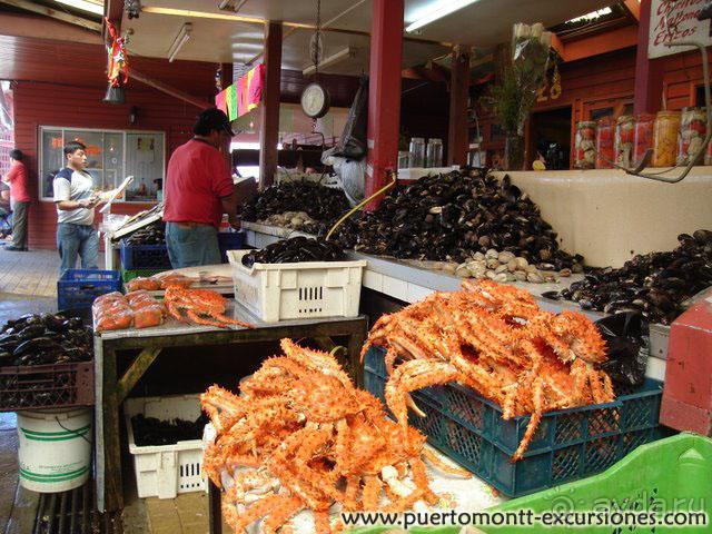 Пуэрто Монт