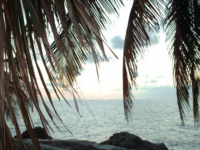 И всё равно это был  отдых.Мне Куба нравиться!