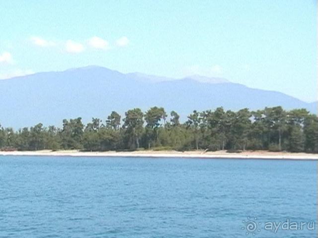 фото Литфонд