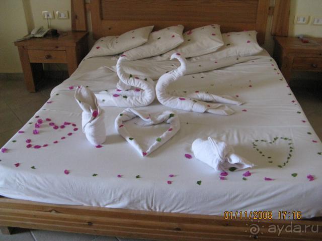 фото Palmyra Club Amar El Zaman