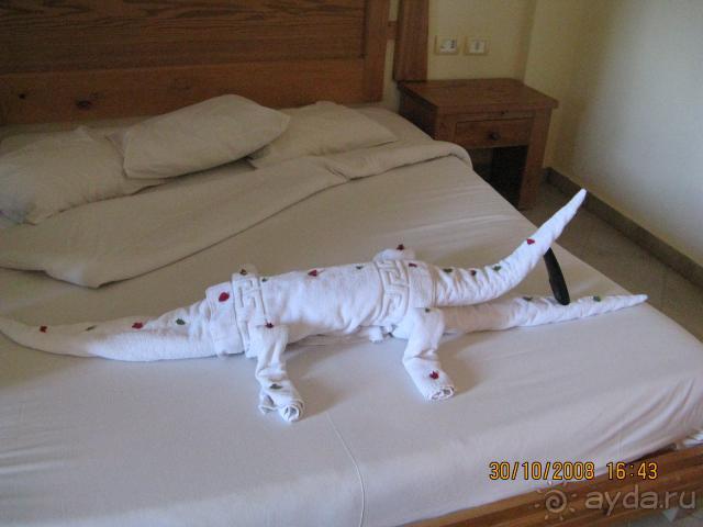 фото Palmyra Club Amar El Zaman