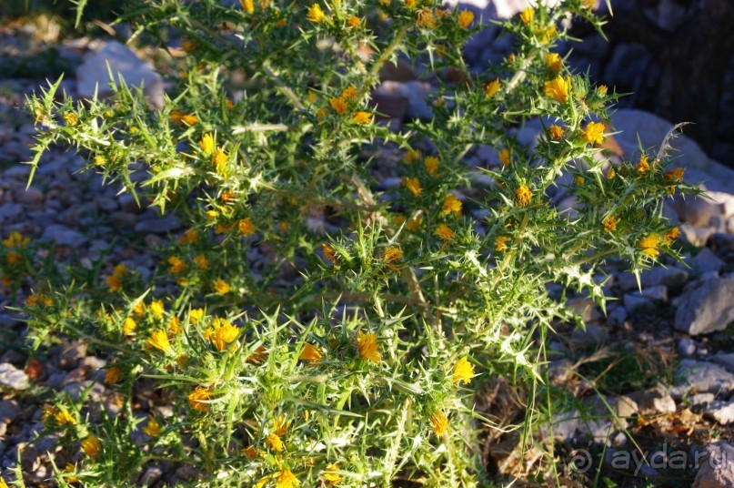 Как мы катались по Хорватии - неоднозначные впечатления