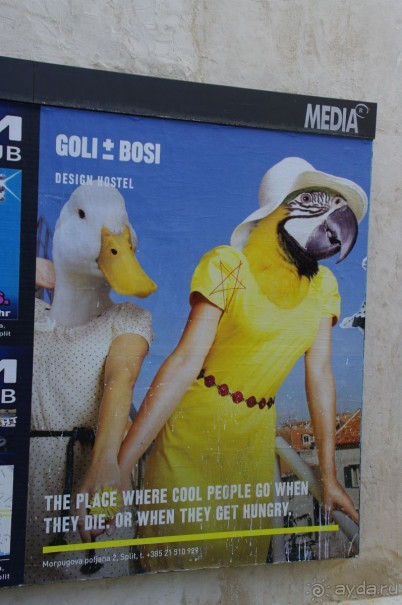 Как мы катались по Хорватии - неоднозначные впечатления