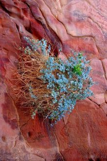 Зимние иорданские каникулы на машине (через Израиль) – забавно, но повторять не хочется