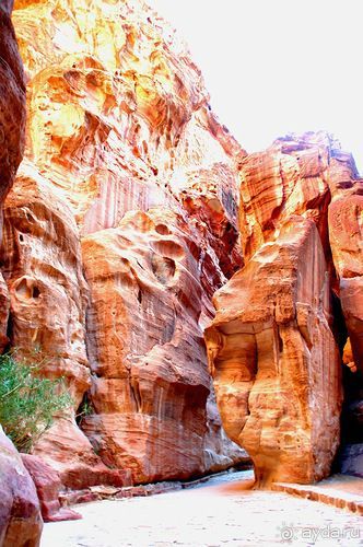 Зимние иорданские каникулы на машине (через Израиль) – забавно, но повторять не хочется