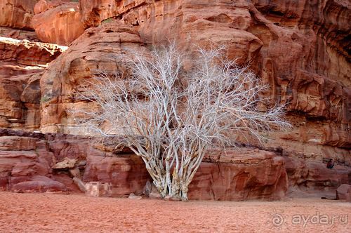 Зимние иорданские каникулы на машине (через Израиль) – забавно, но повторять не хочется