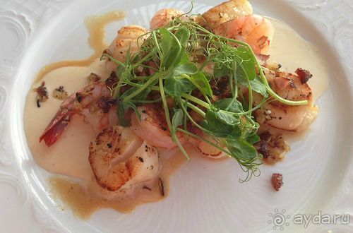 Зимние иорданские каникулы на машине (через Израиль) – забавно, но повторять не хочется