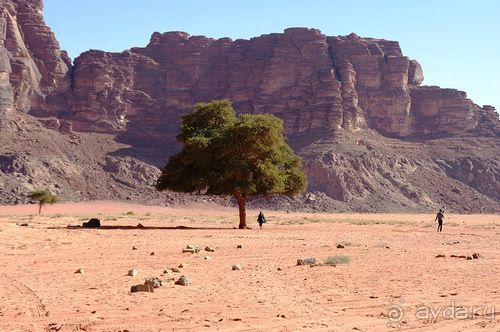 Зимние иорданские каникулы на машине (через Израиль) – забавно, но повторять не хочется