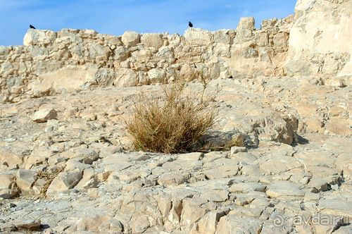 Зимние иорданские каникулы на машине (через Израиль) – забавно, но повторять не хочется