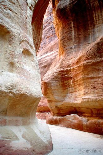 Зимние иорданские каникулы на машине (через Израиль) – забавно, но повторять не хочется