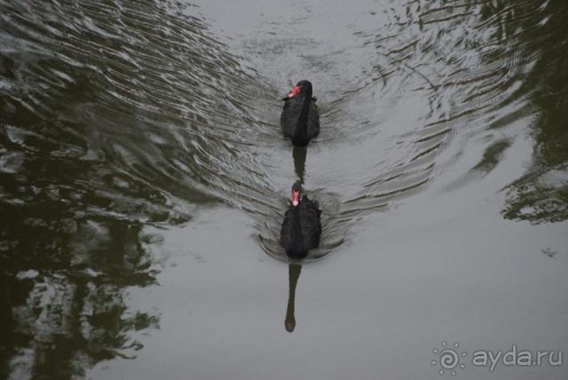 фото Intercontinental Bali Resort