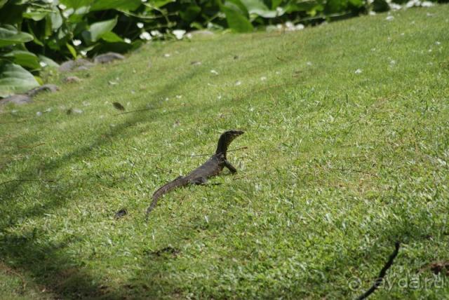 фото Intercontinental Bali Resort