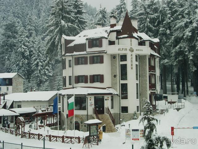 Лучший мой Новый Год 2008-2009