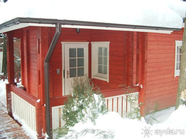 Лучший мой Новый Год 2008-2009