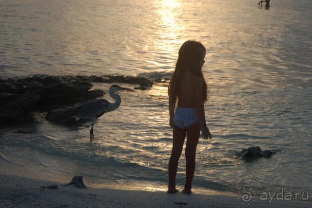 Курамати - это супер!