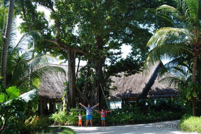 Курамати - это супер!