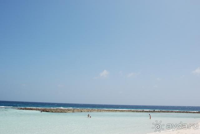 Курамати - это супер!