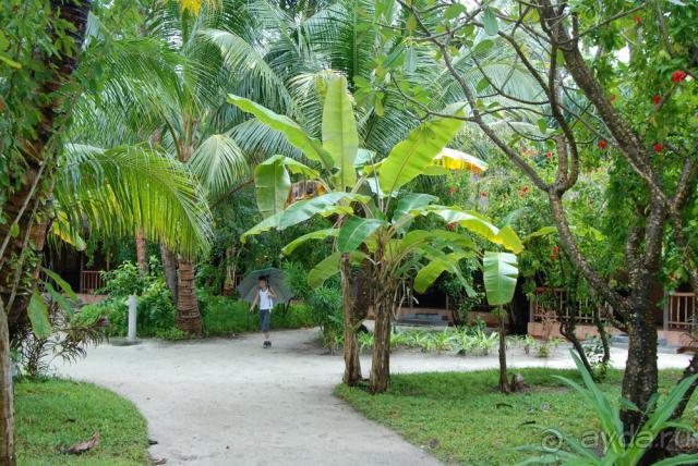 Курамати - это супер!